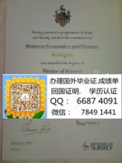 <b>ʵ��Ӣ�������ѧ��ҵ</b>