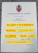 <b>University of Essex </b>