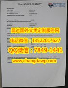 <b>Newcastle University</b>