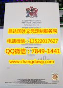 <b>Cardiff University D</b>