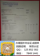 <b>Cardiff University D</b>