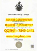 <b>Brunel University Lo</b>
