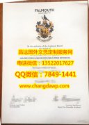 <b>Falmouth University </b>