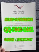 <b>The University of No</b>