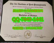 <b>Art Institute of Yor</b>