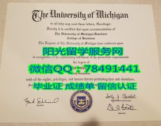 <b>University of Michig</b>