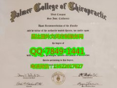 <b>Palmer College of Ch</b>