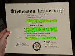 <b>Stevenson University</b>