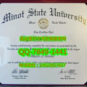 <b>Minot State Universi</b>