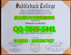 <b>Saddleback College D</b>