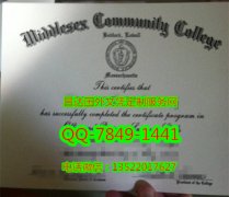 <b>Middlesex Community </b>