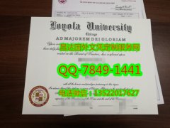 <b>Loyola University Ch</b>