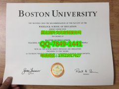 <b>Boston University  D</b>
