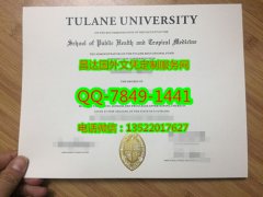 <b>Tulane University  D</b>