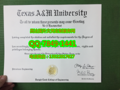 <b>Texas A&M Univer</b>