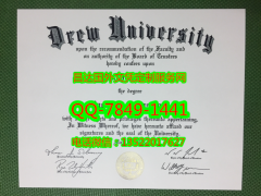 <b>Drew University Dipl</b>