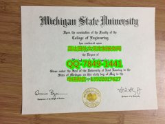 <b>Michigan State Unive</b>