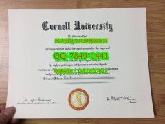 <b>Cornell University D</b>