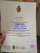 <b>Cardiff Metropolitan</b>