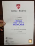 <b>Middlesex University</b>