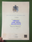 <b>University of Sunder</b>