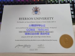 <b>Ryerson University D</b>
