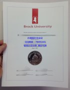 <b>Brock University Dip</b>