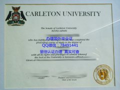 <b>Carleton University </b>
