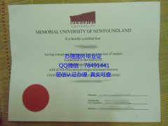 <b>Memorial University </b>