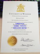 <b>University of Windso</b>
