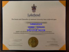 <b>Lakehead University </b>