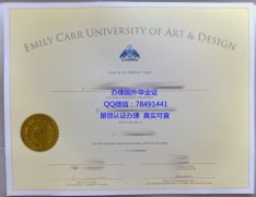 <b>Emily Carr Universit</b>
