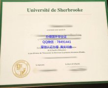 <b>Universit de Sherb</b>