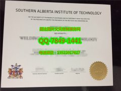 <b>Southern Alberta Ins</b>