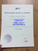 <b>British Columbia Ins</b>
