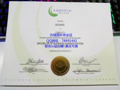 <b>Camosun College Dipl</b>