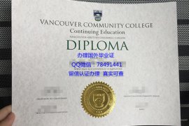 <b>Vancouver Community </b>