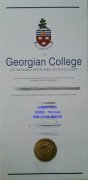 <b>Georgian College Dip</b>