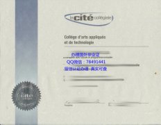 <b>La Cit collgiale</b>