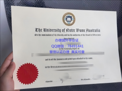University of Notre 