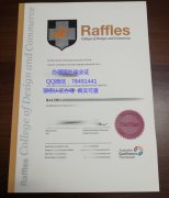 <b>Raffles College of D</b>