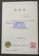 <b>Daegu University Dip</b>