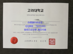 <b>Korea University Dip</b>