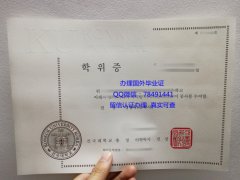 <b>Konkuk University Di</b>