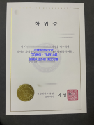 <b>Hanyang University D</b>