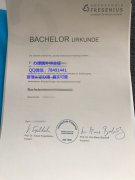 <b>Hochschule Fresenius</b>