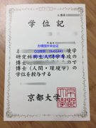 <b>Kyoto University Dip</b>