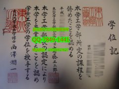 <b>Tohoku University Di</b>