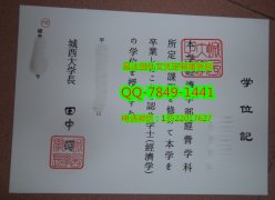 <b>Josai University Dip</b>