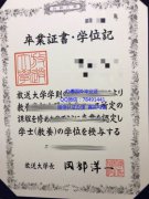 <b>The Open University </b>